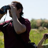 bird-watching-with-a-son_27124925826_o.th.jpg